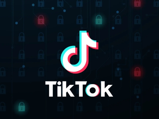 tiktok專線網絡搭建的詳細流程.png